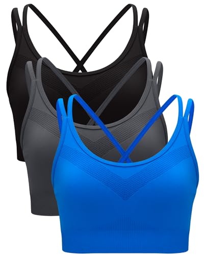 3040 Black/Grey/Blue