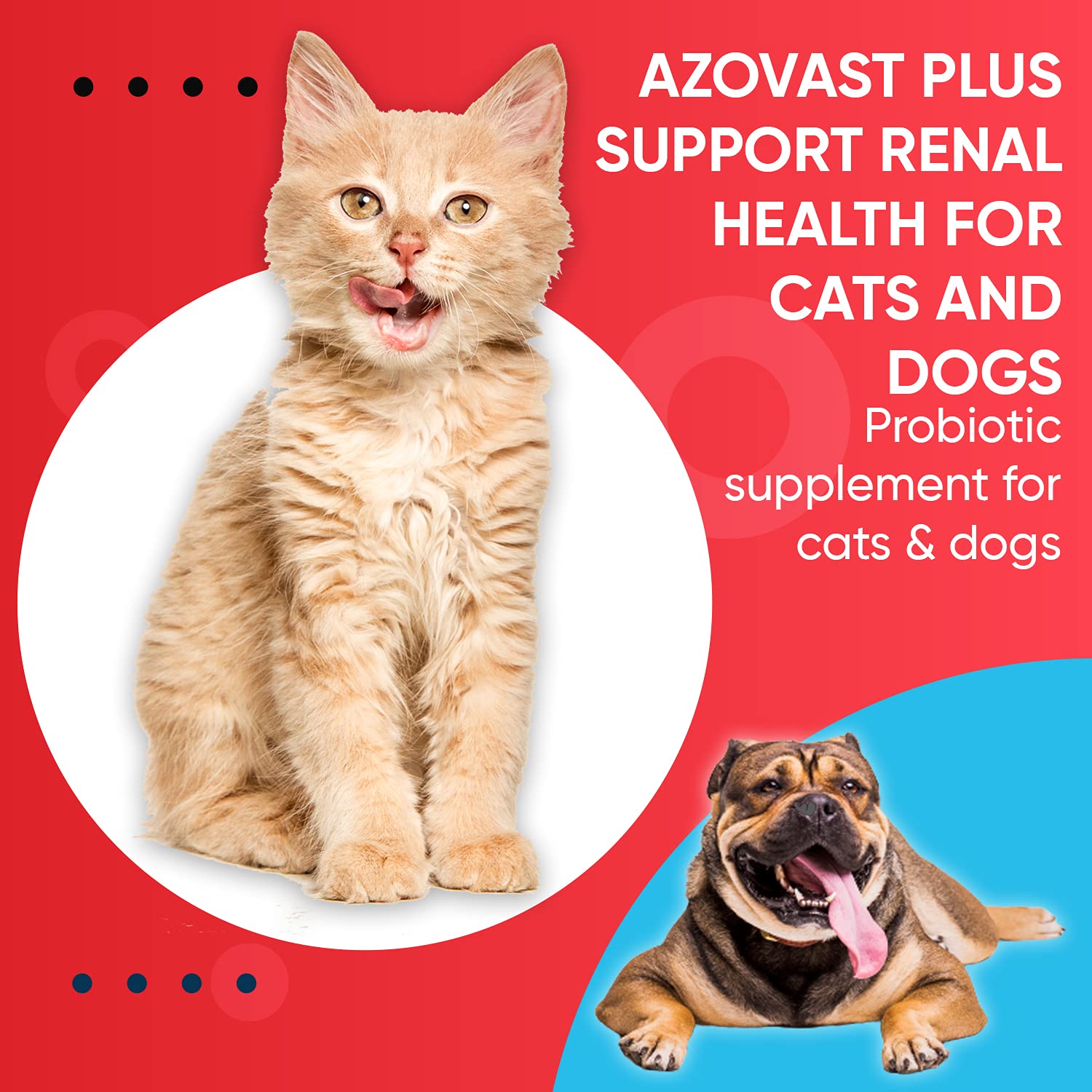 Azovast Plus Kidney Health Supplement for Dogs & Cats - 360 Capsules - Supports Kidney Function & Manages Renal Toxins - No Refrigeration Needed - Made in USA | Ideal for Senior Pets & Pets with Kidney Issues