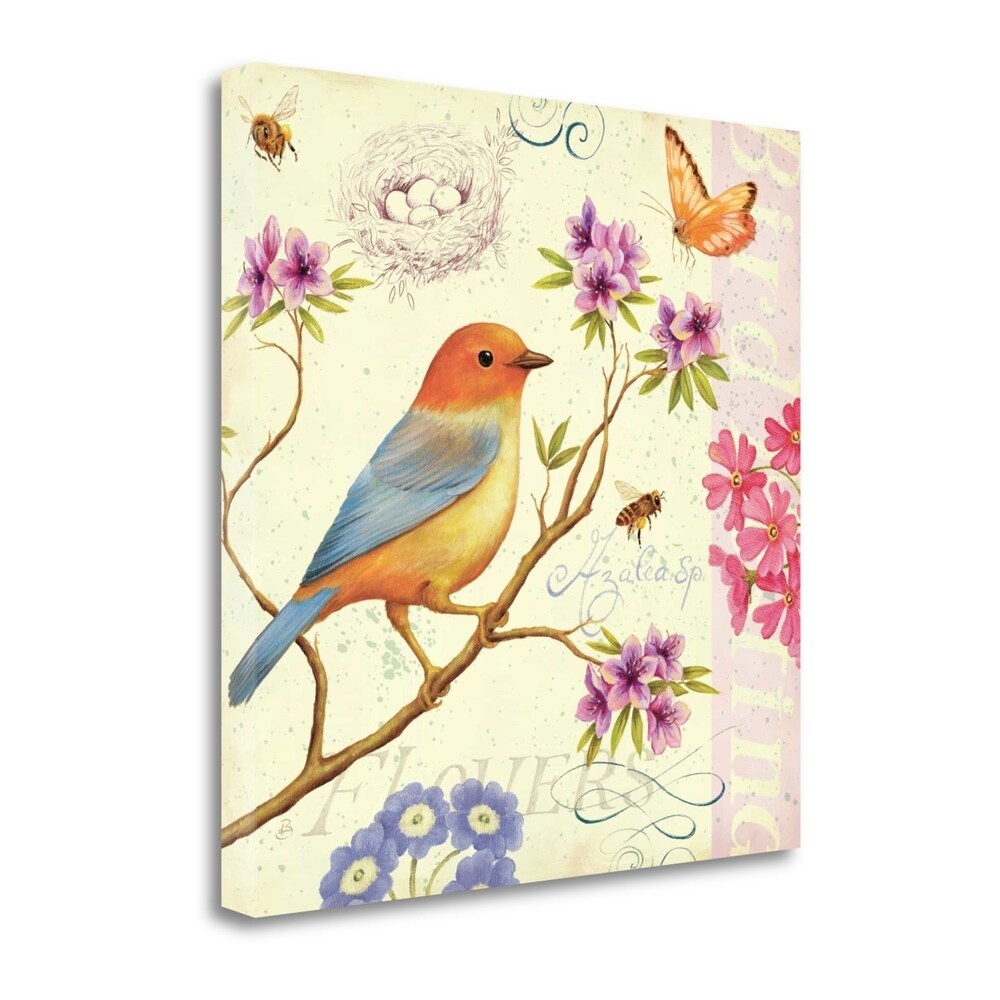 Daphne Brissonnet Birds And Bees II Giclee Print on Gallery Wrap Canvas - Perfect for Home Decor, Living Room Wall Art & Office Decorations