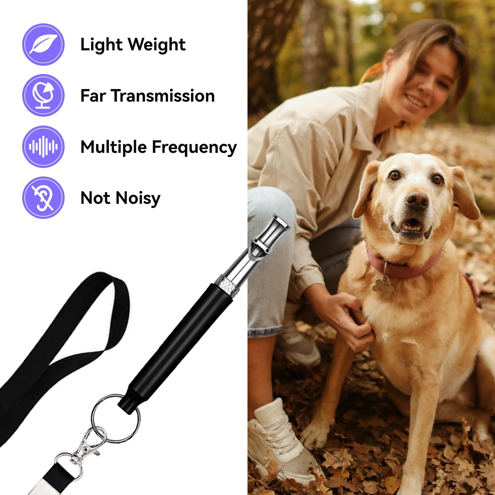 2PCS Silent Dog Whistle with Black Lanyard - Stainless Steel Bark Control Tool for Pet Dogs, Stop Excessive Barking, Obedience Training - Perfect for Outdoor Adventures, Hunting & Home Use (Black)