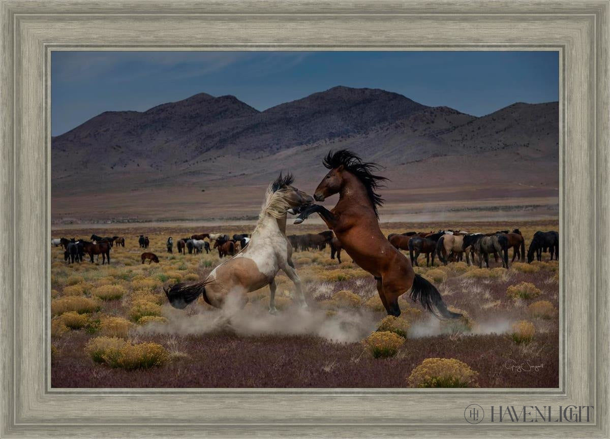 Desert Duel 5 by Greg Sargent - Western Action Novel - Perfect for Book Clubs & Cowboy Adventure Fans