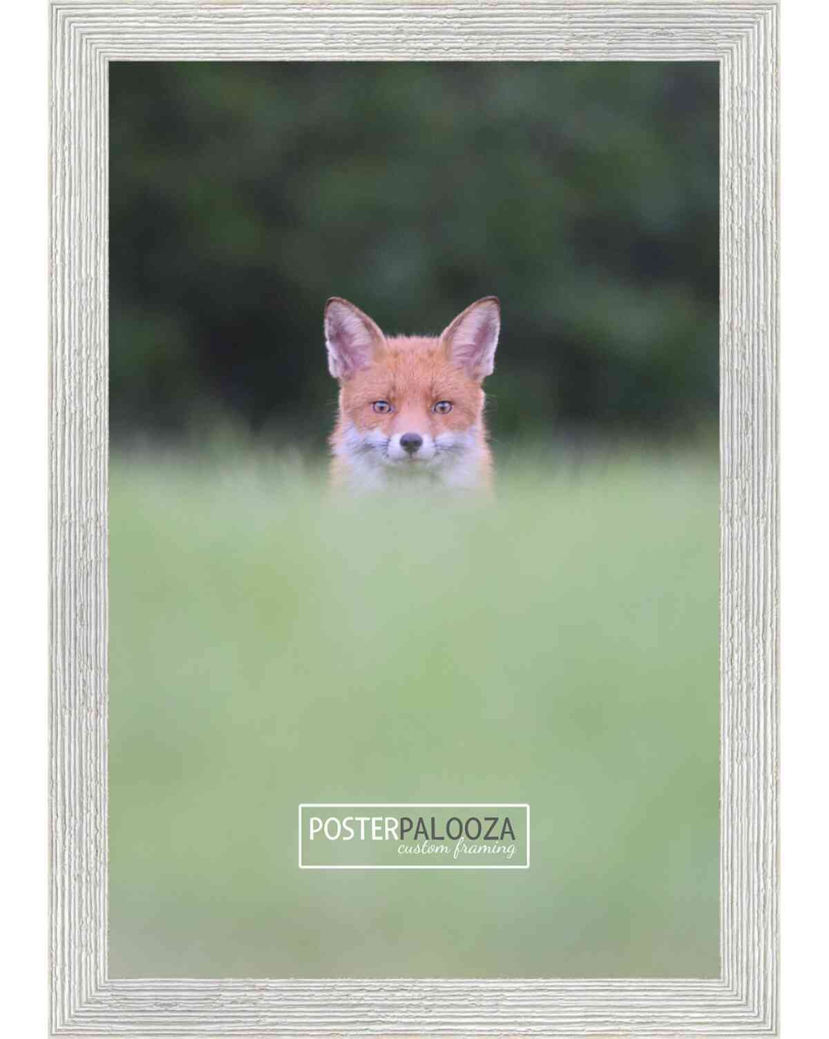 18x24 Distressed White Washed Wood Picture Frame with UV Acrylic Plexiglass & Foam Backing - Vintage Wall Art Display for Posters, Photos, and Canvas Prints - Perfect for Home, Office, and Gallery Decor