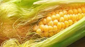 Premium Natural Dry Corn Silk (50g) - Organic Cornsilk, Maize Hair for Detox & Kidney Health | Herbal Tea, DIY Beauty, Cooking Ingredient | Perfect for Home Remedies, Skincare & Healthy Recipes