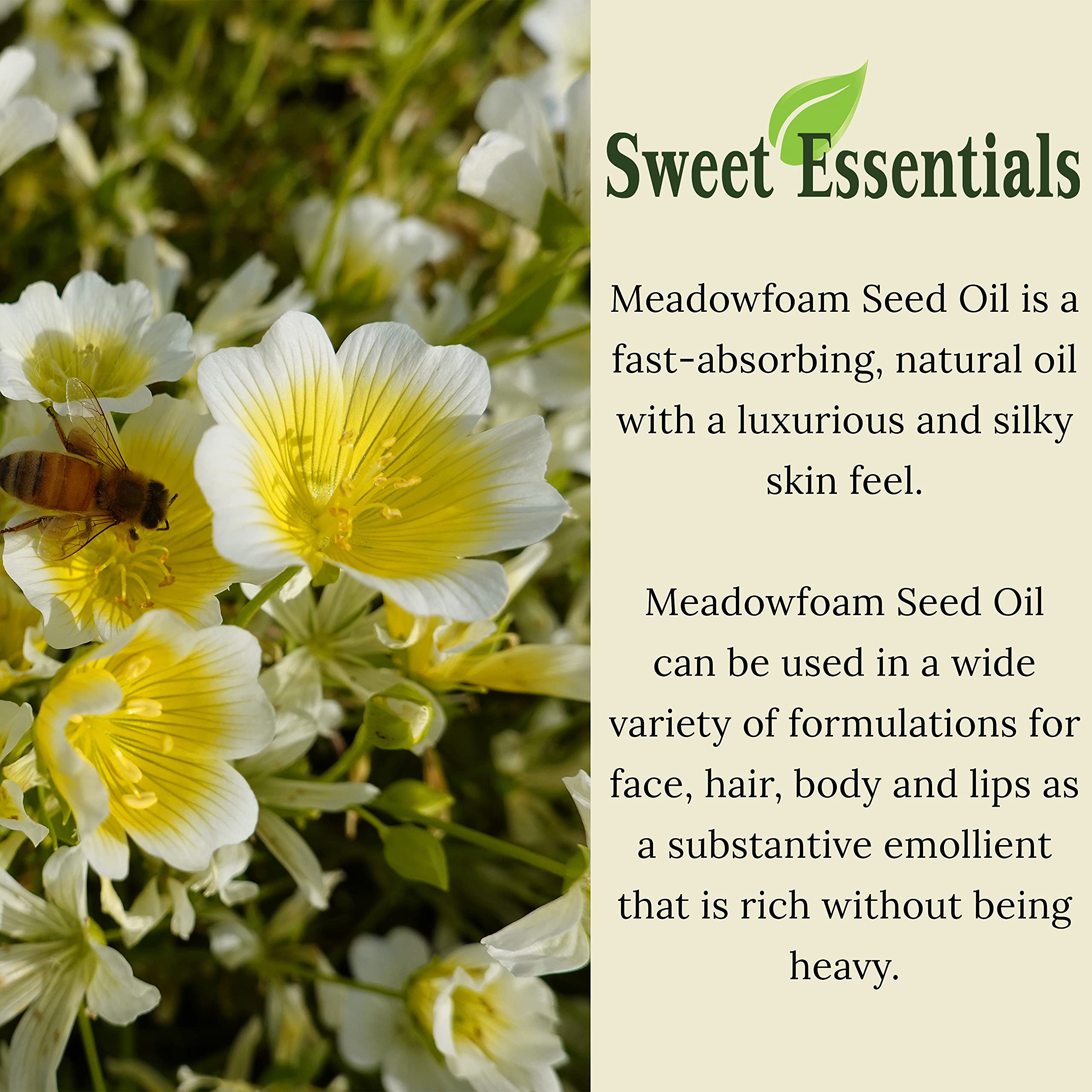 Premium Organic Meadowfoam Seed Oil 16oz - 100% Pure Cold Pressed Carrier Oil for Hair, Skin & Nails | Hydrates & Nourishes Dry Skin | Great for Massage, DIY Beauty & Aromatherapy | Imported from Canada with Pump