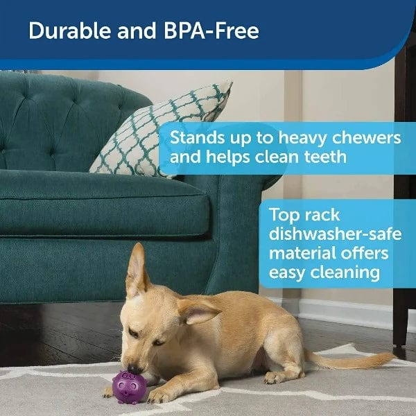 Busy Buddy Interactive Treat Dispensing Dog Toy - Fun Chew Toy for Small & Large Dogs - Perfect for Boredom Relief & Training - Indoor & Outdoor Play