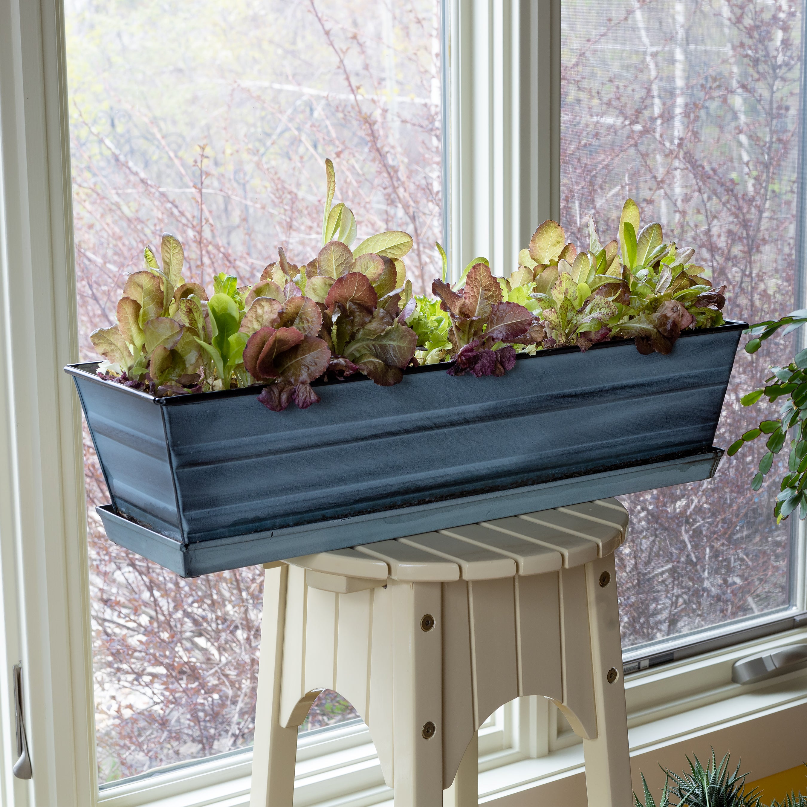 Achla Designs Flower Box Tray - Decorative Wooden Planter Box for Indoor Plants, Succulents & Home Décor | Perfect for Windowsills, Tabletops & Garden Displays