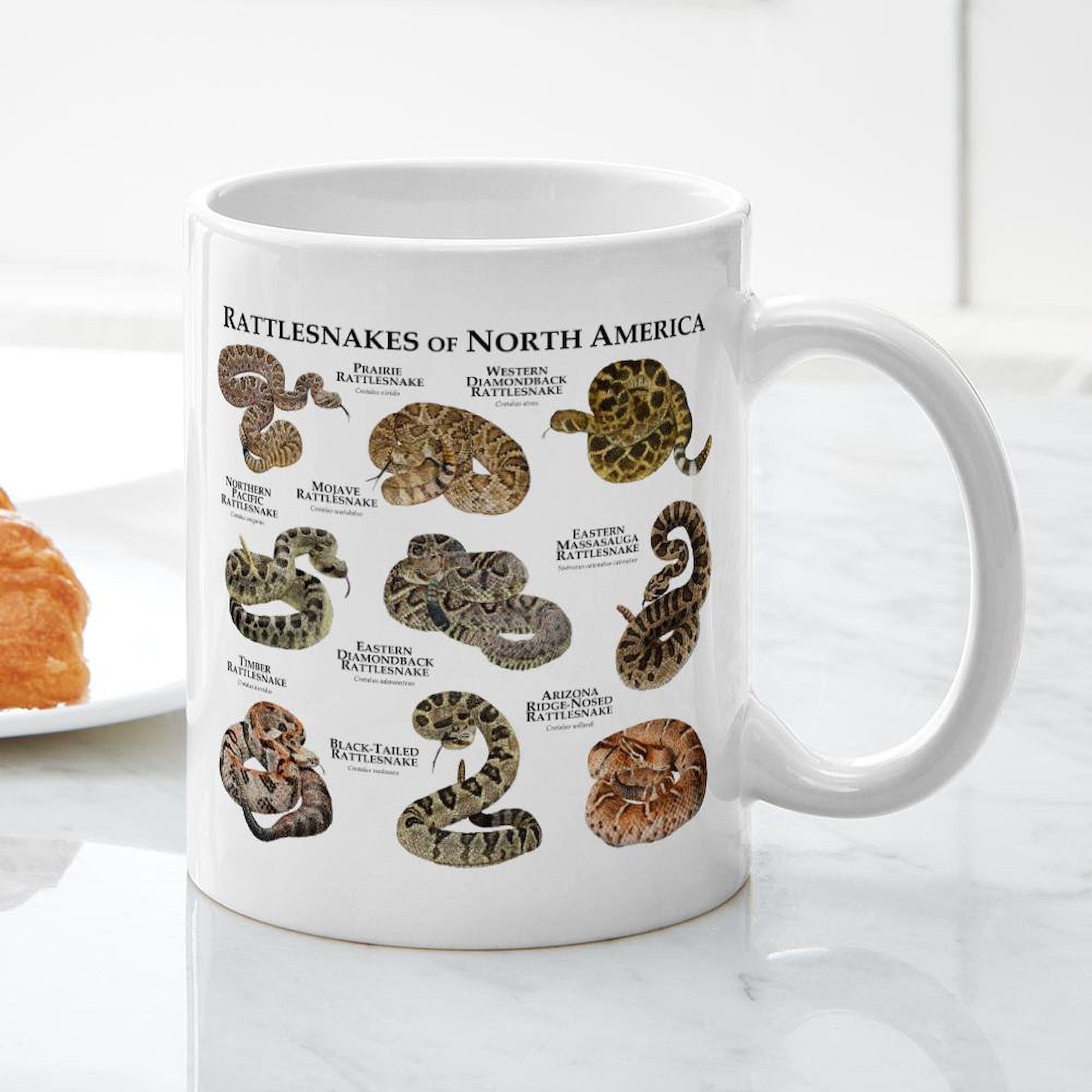Rattlesnakes of North America 11 oz Ceramic Coffee Mug (325 ml) - Perfect for Home, Office, or Gift - Durable & Stylish Coffee Cup