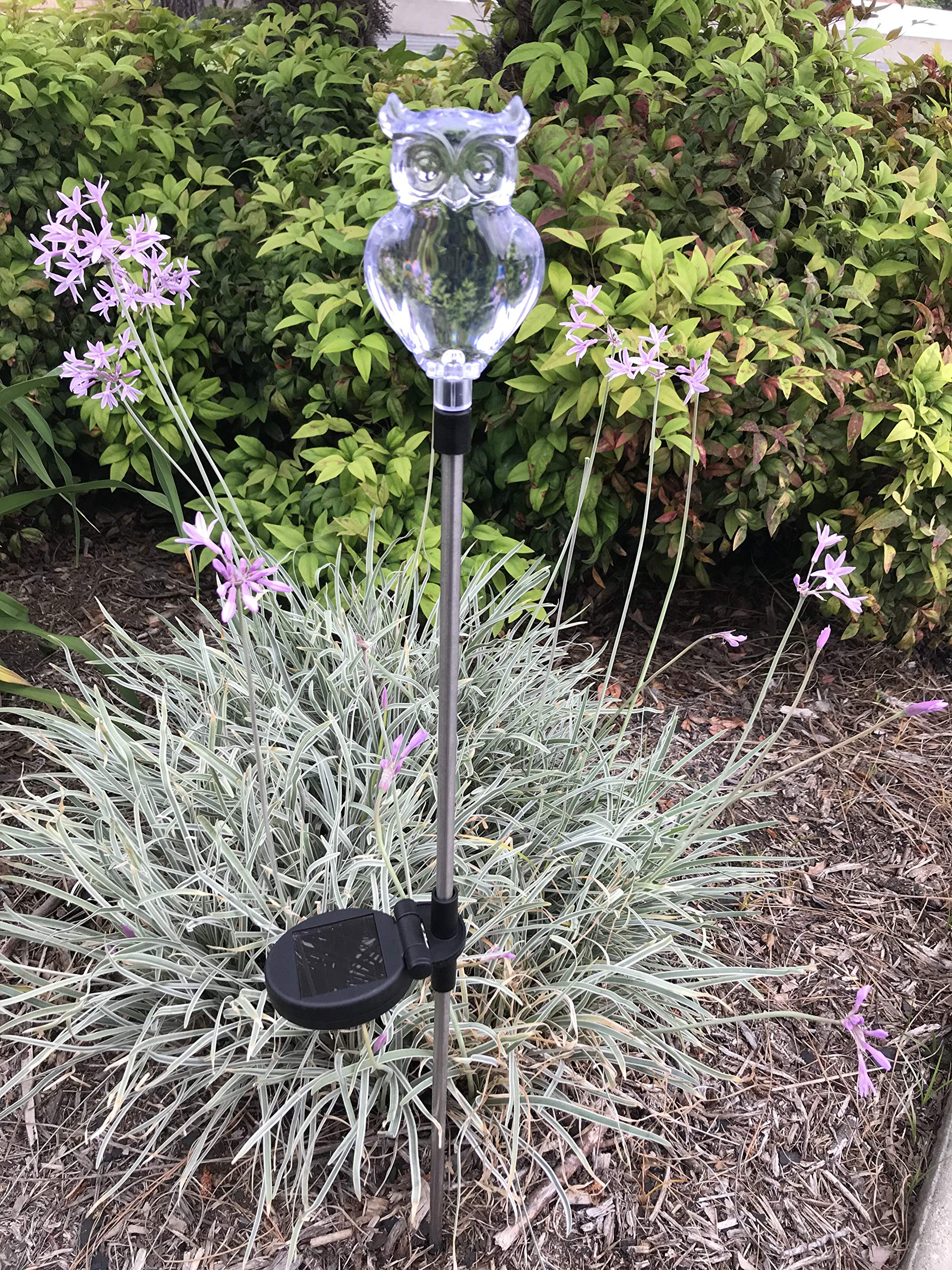 Solar Garden Stake Lights - Color Changing & White LED Outdoor Path Lights (Set of 2, Owl Design) for Landscape, Yard, Patio & Walkway Decor