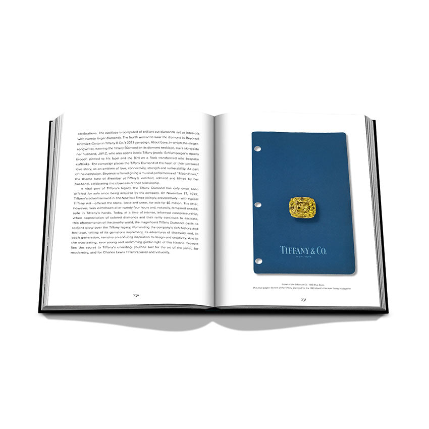 Assouline Tiffany & Co. Vision and Virtuosity: The Impossible Collection Book - Luxury Jewelry History & Design - Perfect for Coffee Table Decor, Fashion Enthusiasts & Tiffany Collectors