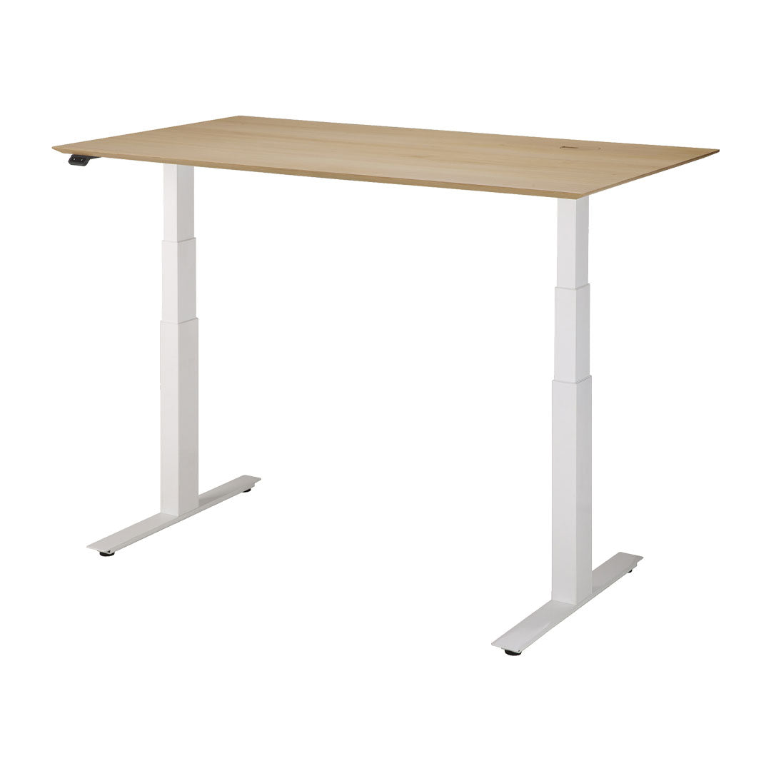 Adjustable Standing Desk - Ergonomic Height Adjustable Computer Desk for Home & Office - Perfect for Work from Home, Gaming & Study