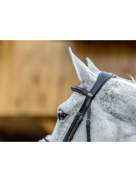 Le Mieux Kudos Grackle Bridle - Premium Horse Riding Bridle for Dressage & Jumping | Comfortable & Durable Equestrian Equipment for Training & Competitions