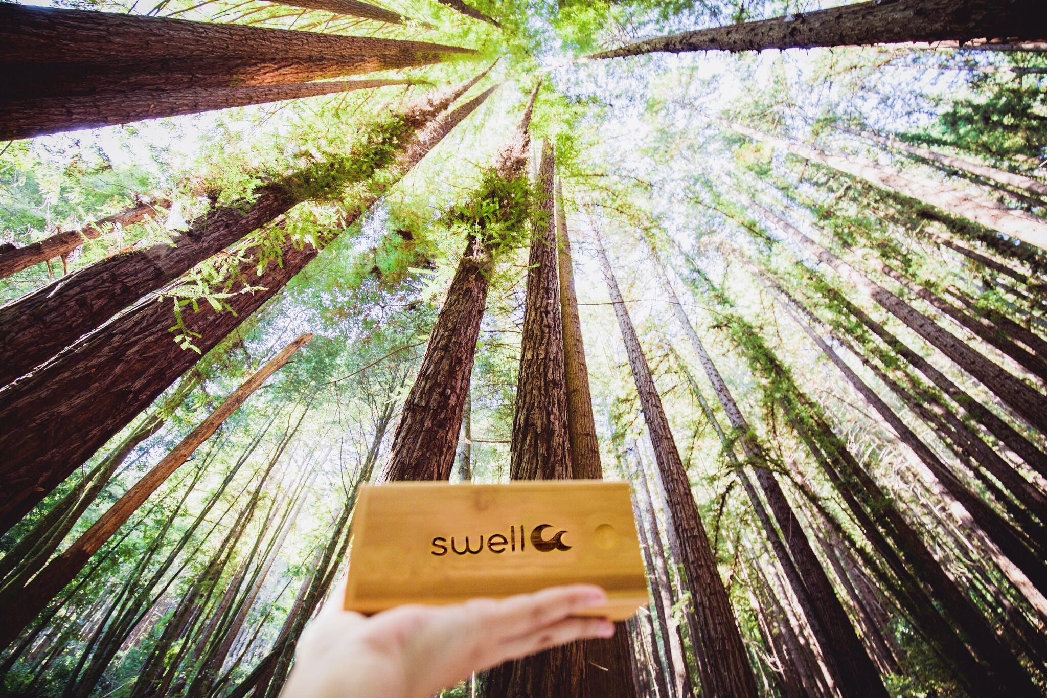 Eco-Friendly Bamboo Sunglasses Case - Lightweight & Durable Eyewear Protector for Travel, Beach, and Outdoor Activities
