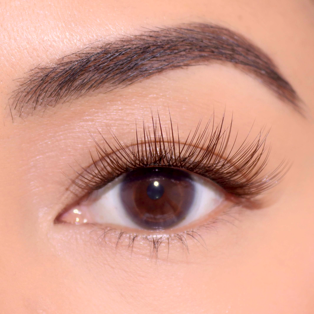 Professional Curated Eyelash Extension Kit - Natural & Dramatic Looks for Every Occasion | Perfect for Bridal, Party & Everyday Wear
