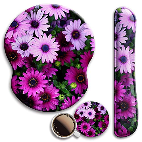 M-african Daisy