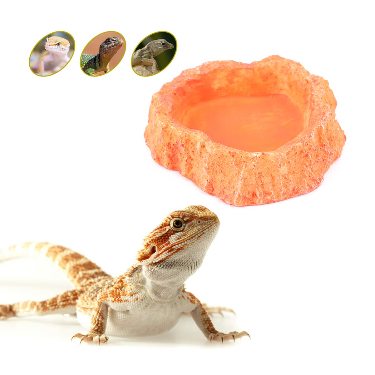 Premium Reptile Feeding Bowl - Large Shallow Tortoise Dish & Lizard Water Basin - Durable Terrarium Feeder Cup for Turtles, Snakes & Amphibians - Perfect for Hydration & Meal Times in Reptile Habitats