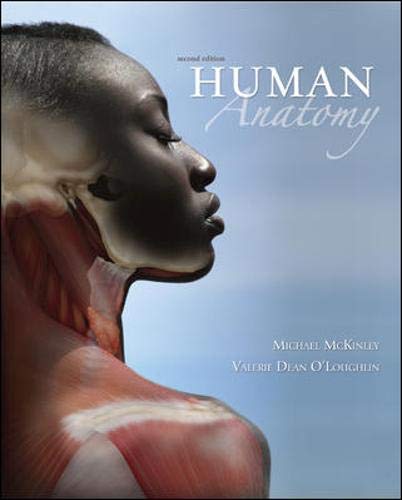 Human Anatomy Model - Detailed 3D Medical Study Tool for Students & Professionals | Perfect for Classrooms, Labs & Home Learning