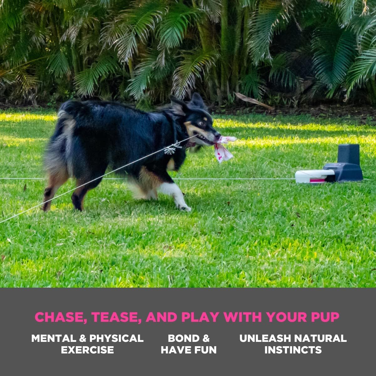 Swift Paws App-Controlled Dog Toy - Interactive Chase & Flag Lure Course for Dogs - Smart Pet Enrichment Game for Backyard, Training & Exercise