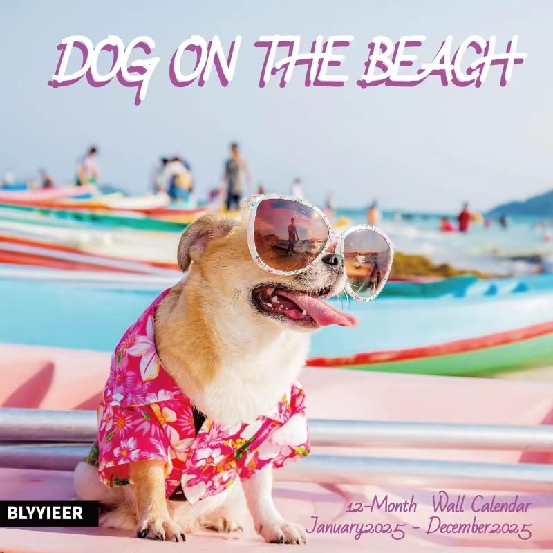 Dogs on the beach