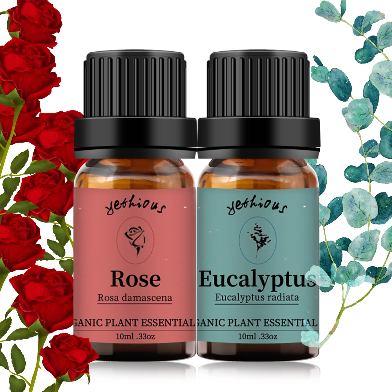 Yethious 100% Pure Organic Rose & Eucalyptus Essential Oils Set - 2 Pack 10ML Aromatherapy Oils for Diffusers, Massage, Skin Care & Relaxation