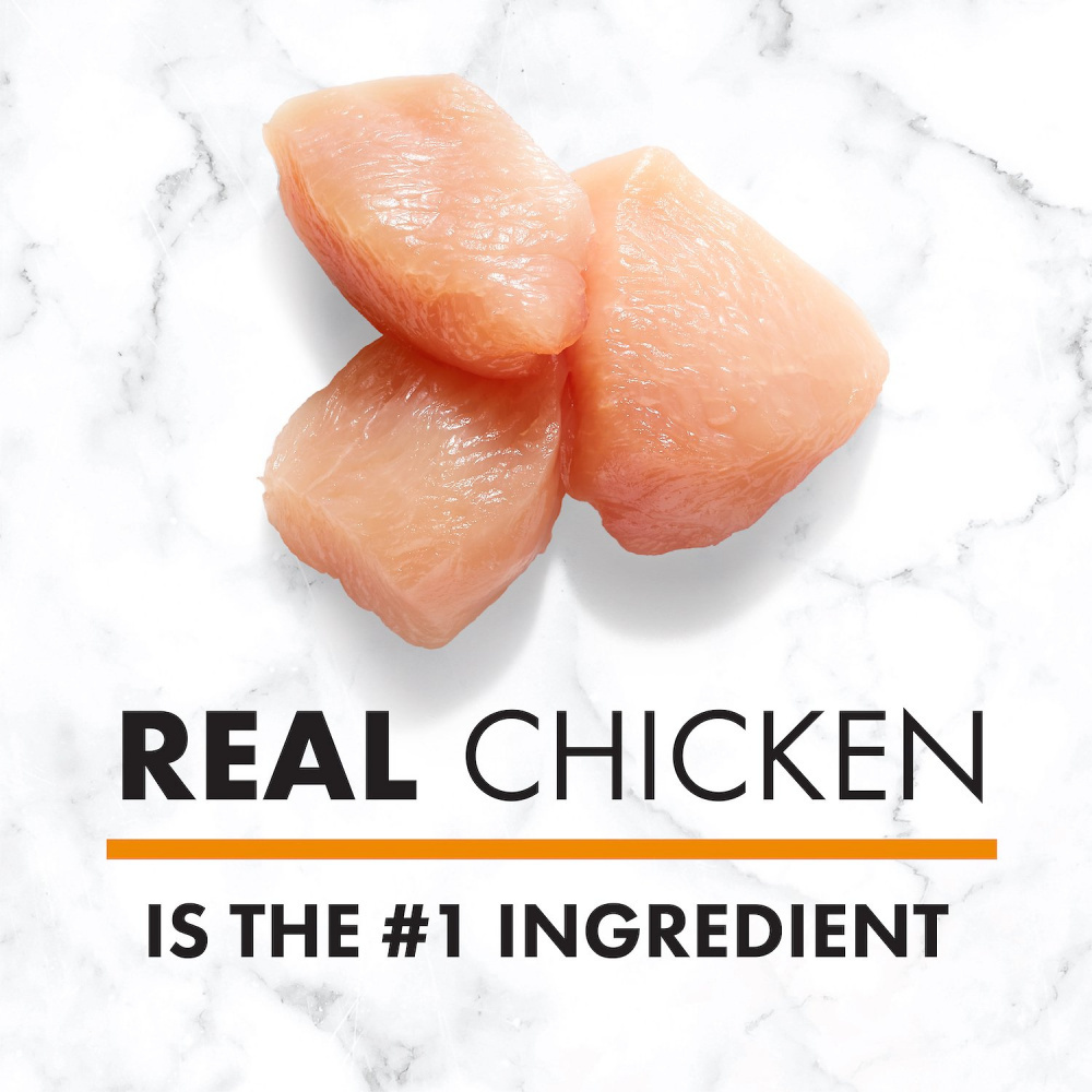 Nutro Wholesome Essentials Adult Dry Dog Food - Farm-Raised Chicken, Brown Rice & Sweet Potato Recipe | High-Protein Nutrition for Active Dogs | Perfect for Daily Feeding & Training Rewards
