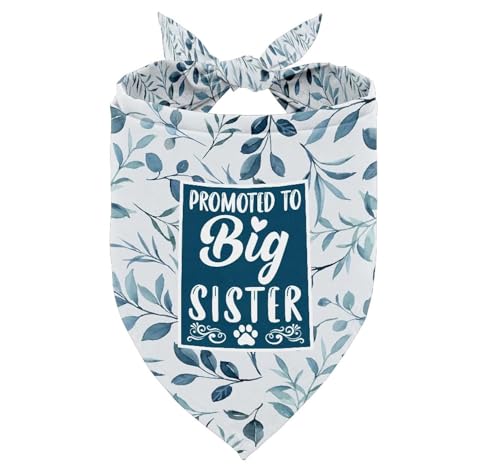 Pro to Big Sister 06
