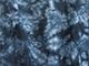 Navy Marble