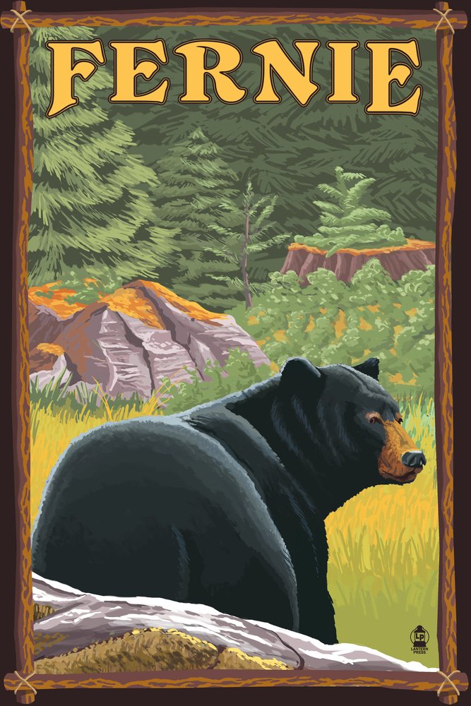 Lantern Press Fernie BC Bear in Forest Art Print - 16x24 Wrapped Canvas Wall Decor - Nature Wildlife Home Office Decor - Perfect for Living Room, Bedroom & Cabin Wall Art