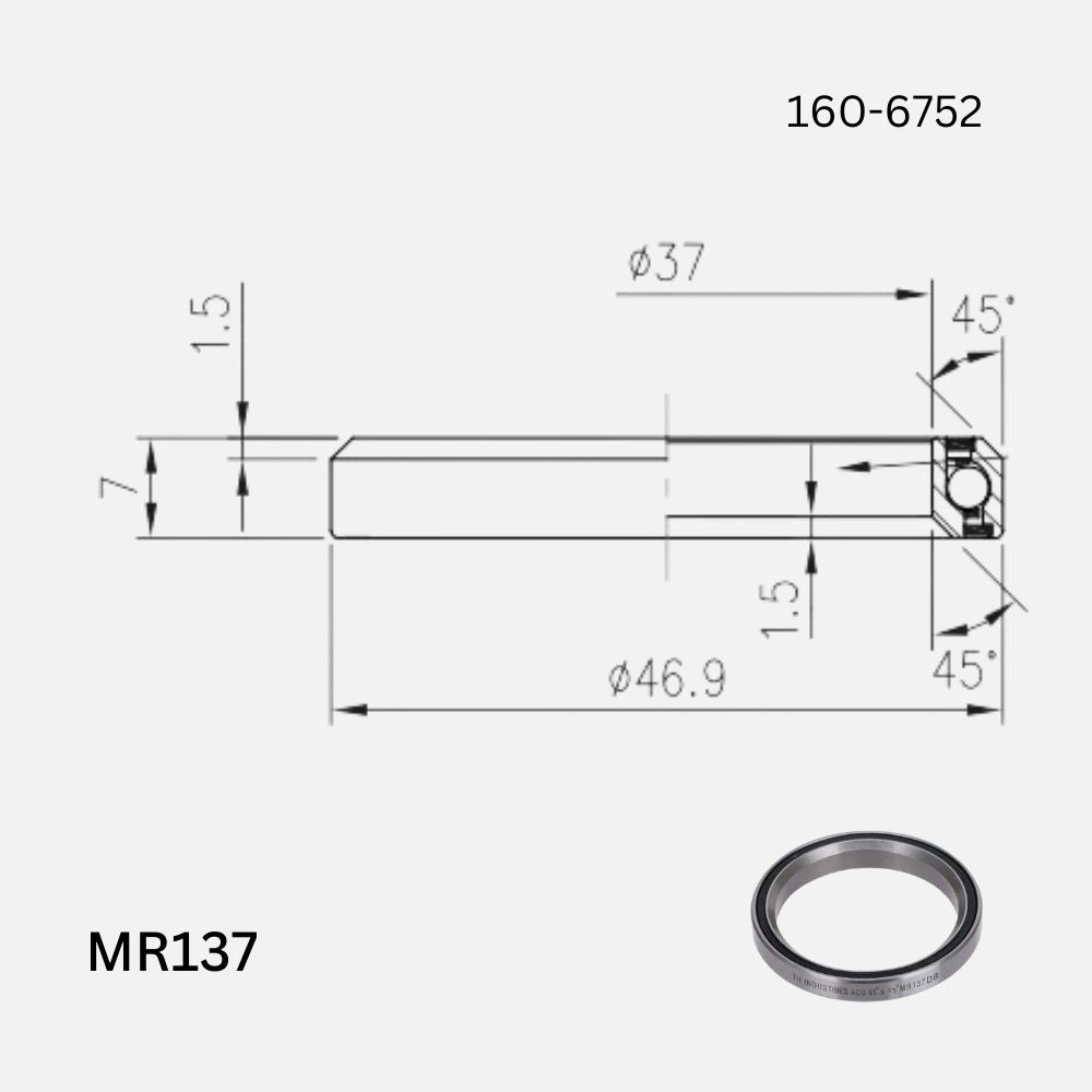 FSA Headset Bearings Giant OD2 - High Performance Bicycle Headset Bearings for Road & Mountain Bikes - Perfect for Cycling Enthusiasts & Professional Riders