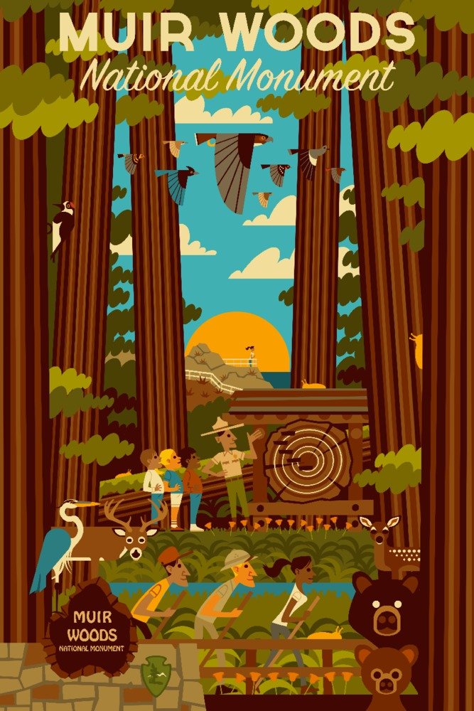 12x18 Geometric Wall Art Poster - Muir Woods National Monument California - Modern Home & Office Decor for Nature Lovers