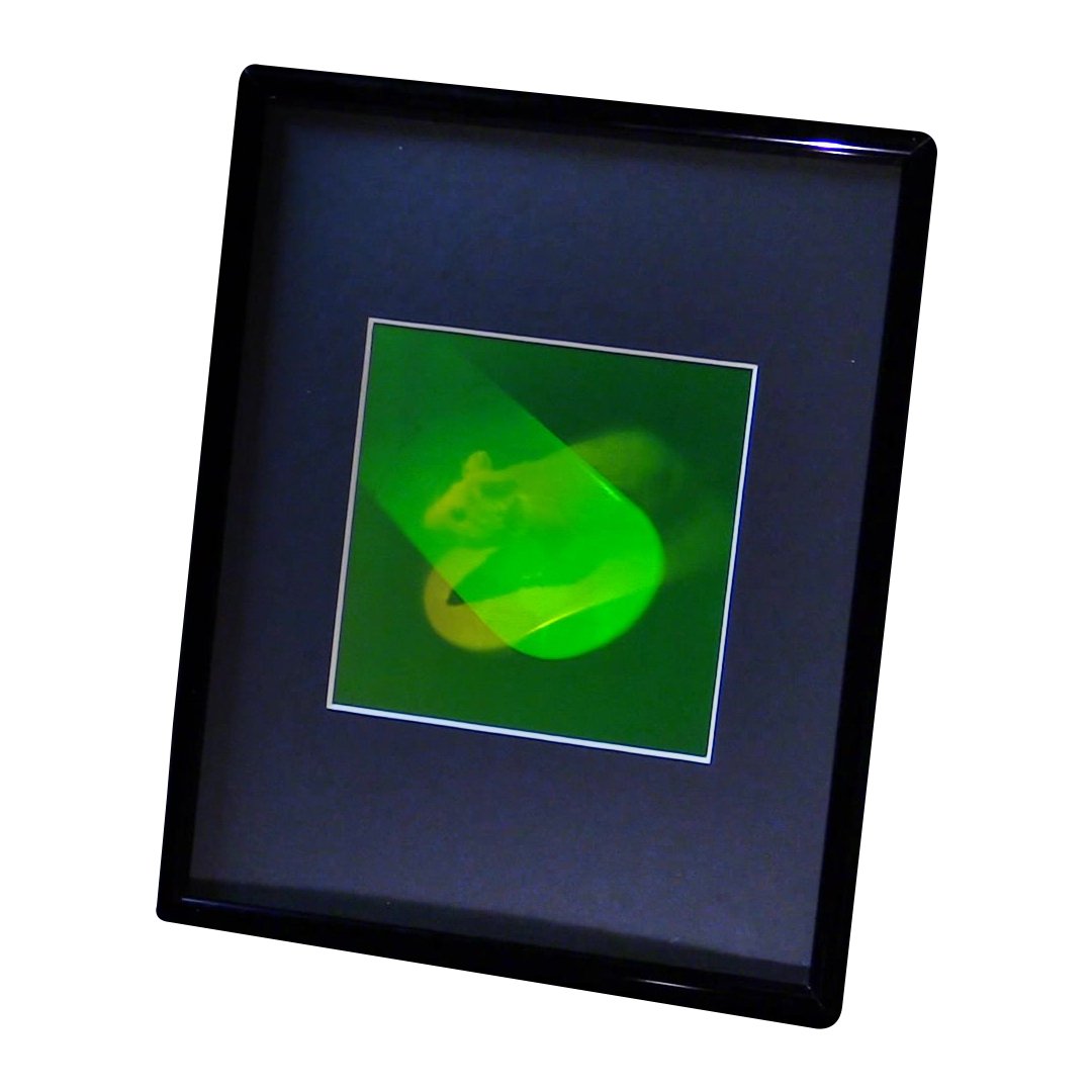 3D Holographic Mouse Multi-Channel Framed Picture - Collectible Photopolymer Film Art for Home Decor, Office Display & Unique Gift Ideas