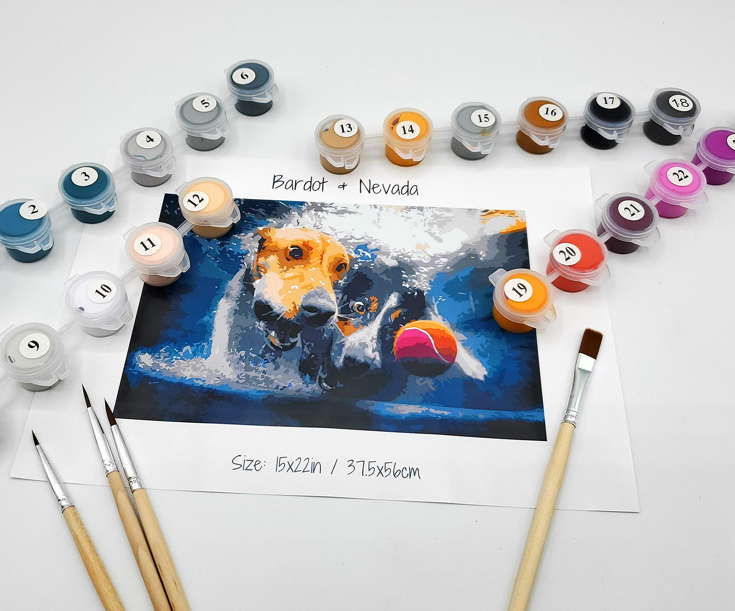 Underwater Dogs Paint by Numbers Kit for Adults & Kids - DIY Acrylic Painting with Brushes & Canvas - Beginner-Friendly Artist Photo Series | Perfect for Home Decor, Gifts, and Relaxation