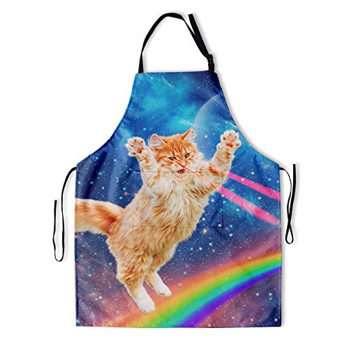 Orange Cat