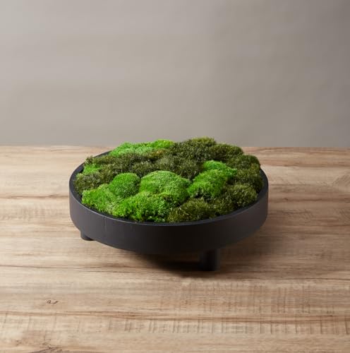 Color Mix-Green-(A+B)