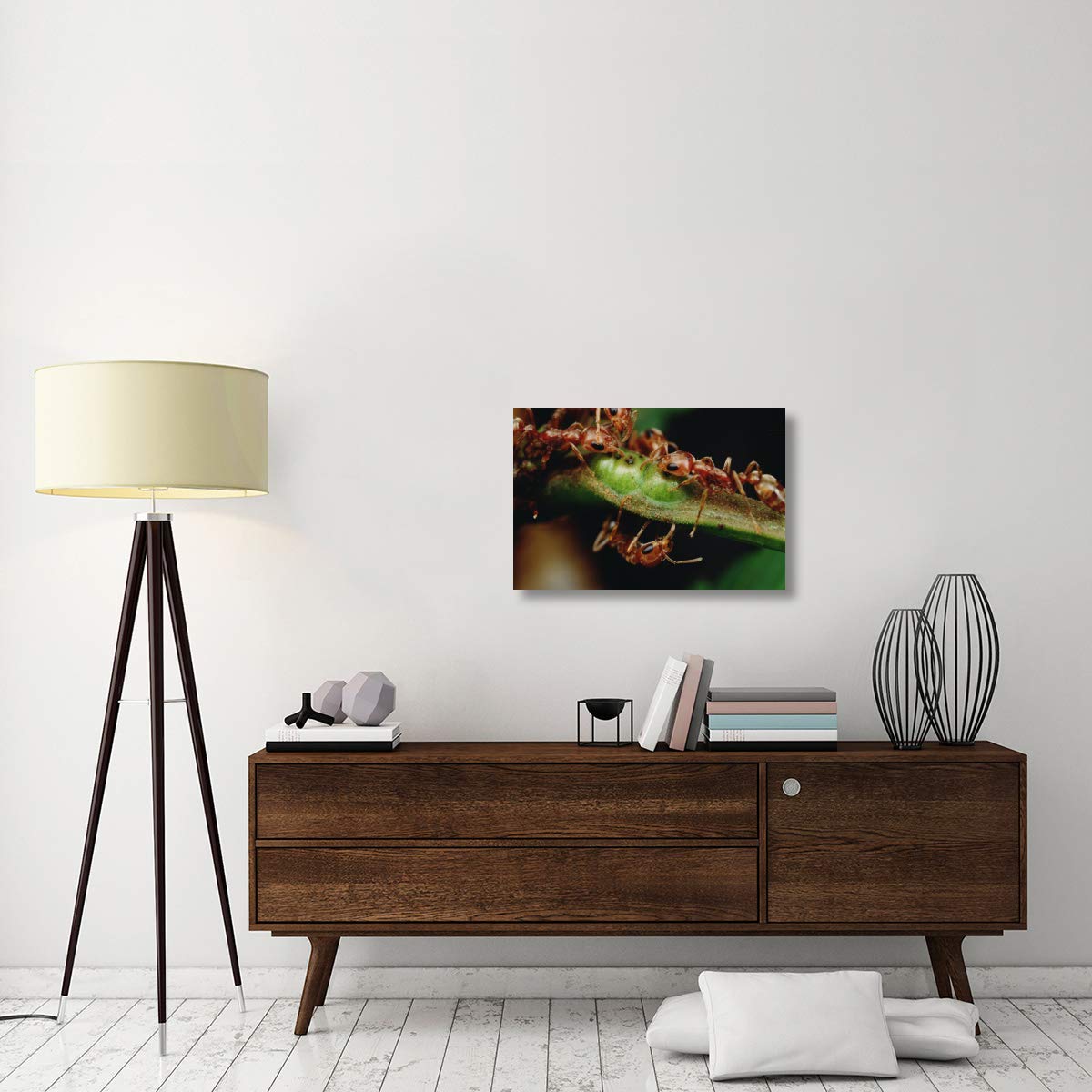 Global Gallery Anta Drink Nectar from Whistling Thorn Acacia Tree Canvas Art Print - 30x20 Inches - Costa Rican Wildlife Wall Decor for Living Room, Bedroom & Office