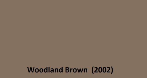Woodland Brown - (2002)