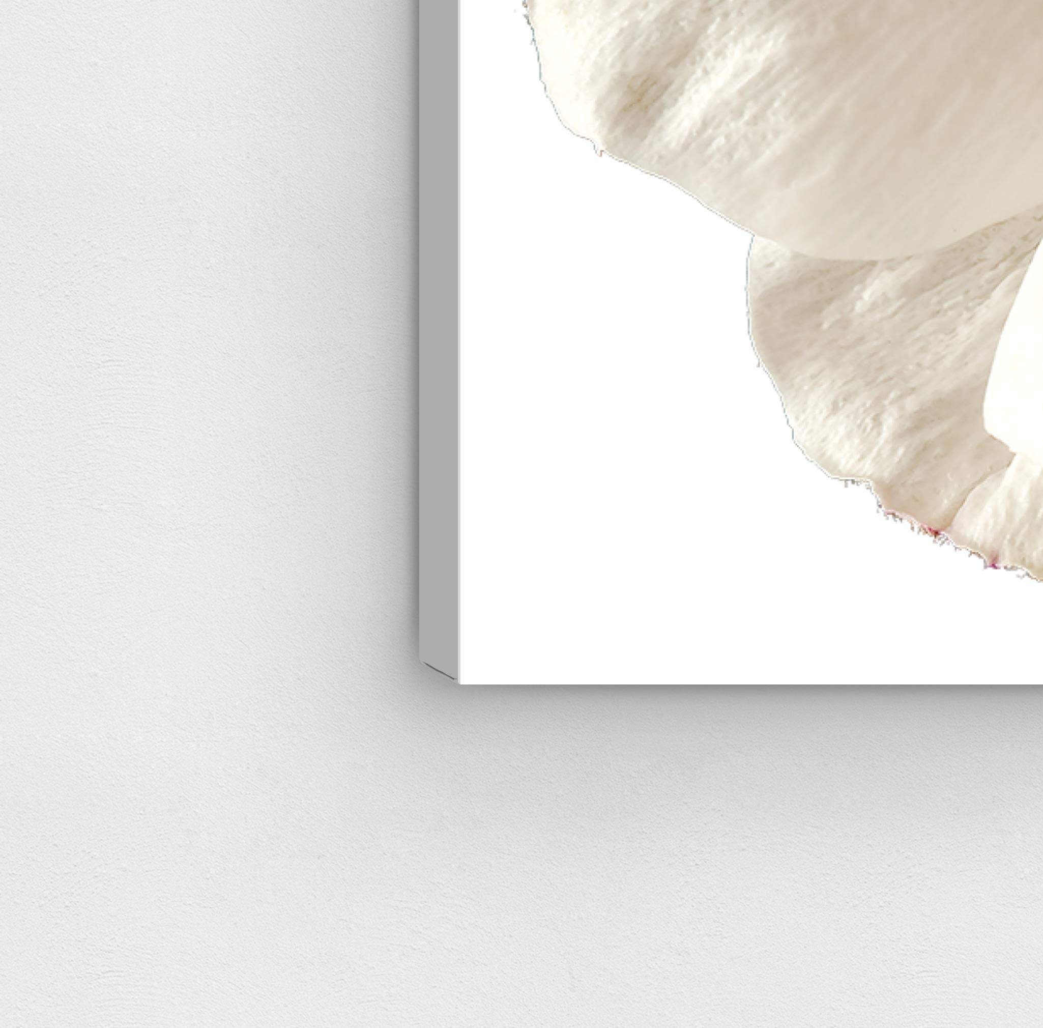 Oliver Gal Artist Co. Floral Wall Art Canvas Prints - 'White Floral' Botanical Home Decor for Living Room, Bedroom & Office