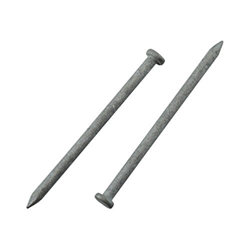 10-D (3 Inch) Galvanized Common Nails - 5 Pound Box - Ideal for Framing, Roofing, and Outdoor Construction Projects