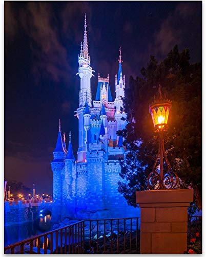 Cinderella's Castle 2