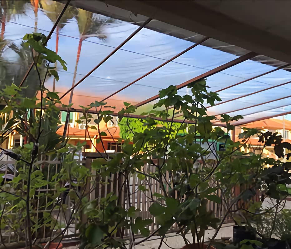 Heavy Duty Clear Tarp - Transparent Waterproof Cover with Grommets & Reinforced Edges | Durable, Thick, Tear-Resistant Polyethylene Sheet | Perfect for Greenhouses, Outdoor Porches, Nursery, Rain Protection & More