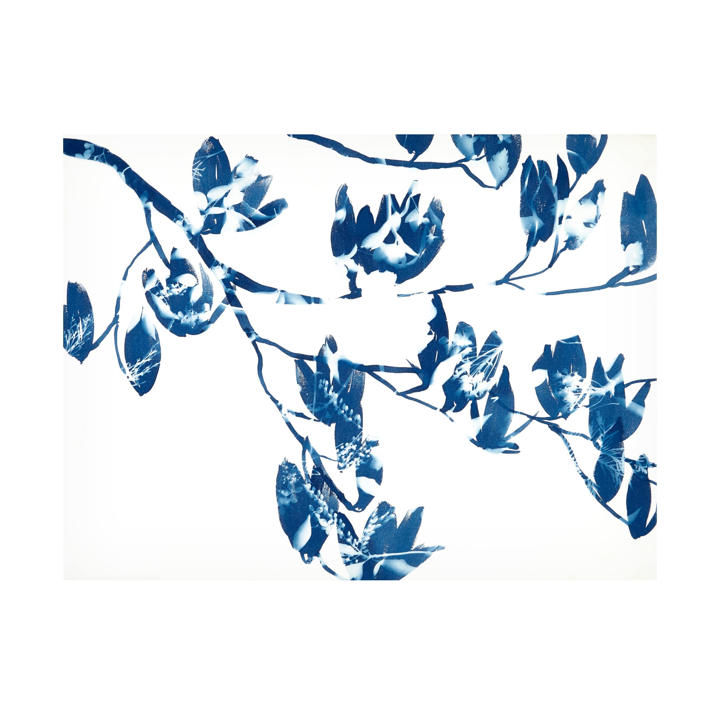 Trademark Fine Art 'Magnolia' Floral Canvas Wall Art by Cynthia MacCollum - Perfect for Living Room, Bedroom & Office Decor
