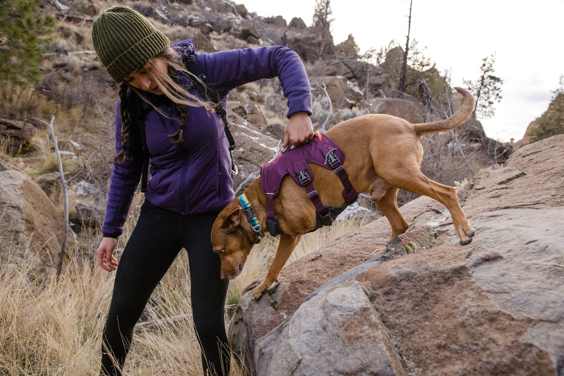 Ruffwear Web Master Harness® - Adjustable Multi-Use Dog Harness with Handle in Red Sumac for Hiking, Running & Outdoor Adventures