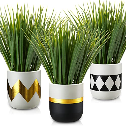 Bright Lush Look-3pcs