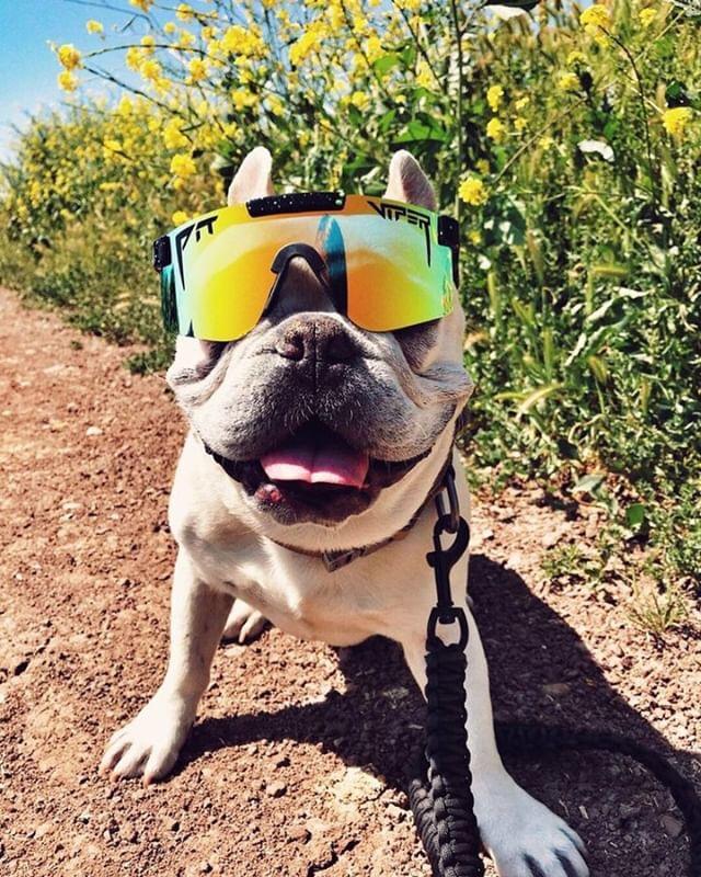 Original Narrow Monster Bull Polarized Sunglasses - UV Protection, Anti-Glare for Driving, Fishing & Outdoor Activities