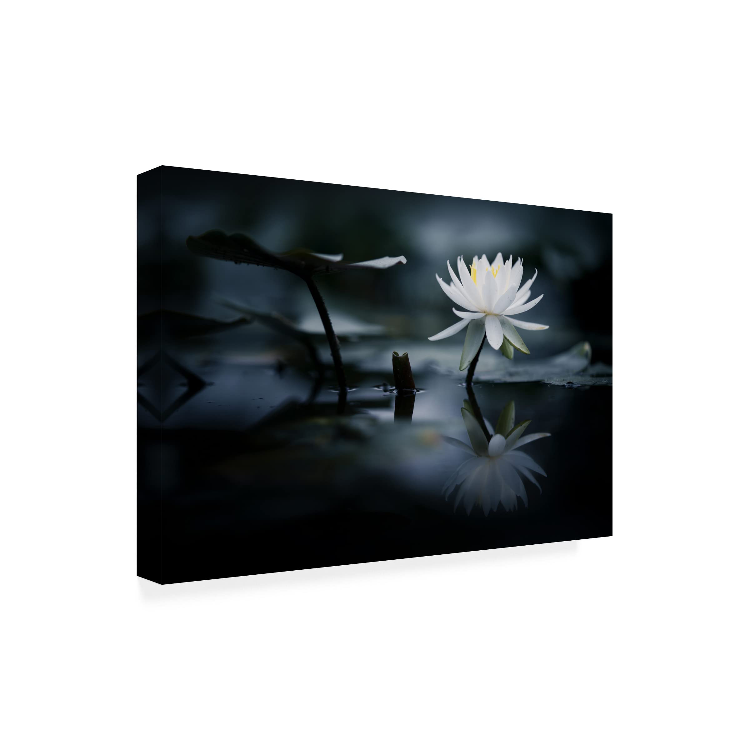 Trademark Fine Art 'Reflection' Canvas Wall Art by Takashi Suzuki - Modern Abstract Painting for Living Room, Bedroom & Office Decor