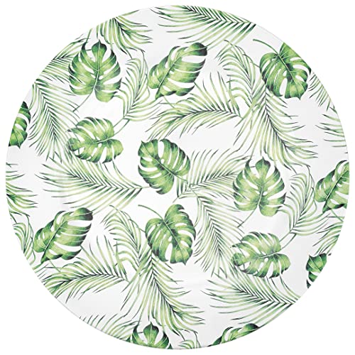 Monstera Palms