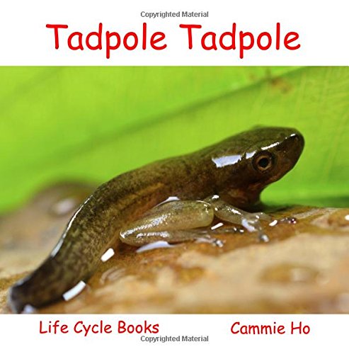 Tadpole Life Cycle Book - Educational Kids Science Book for Learning About Frogs and Amphibians - Perfect for Classroom, Homeschooling, and Nature Study