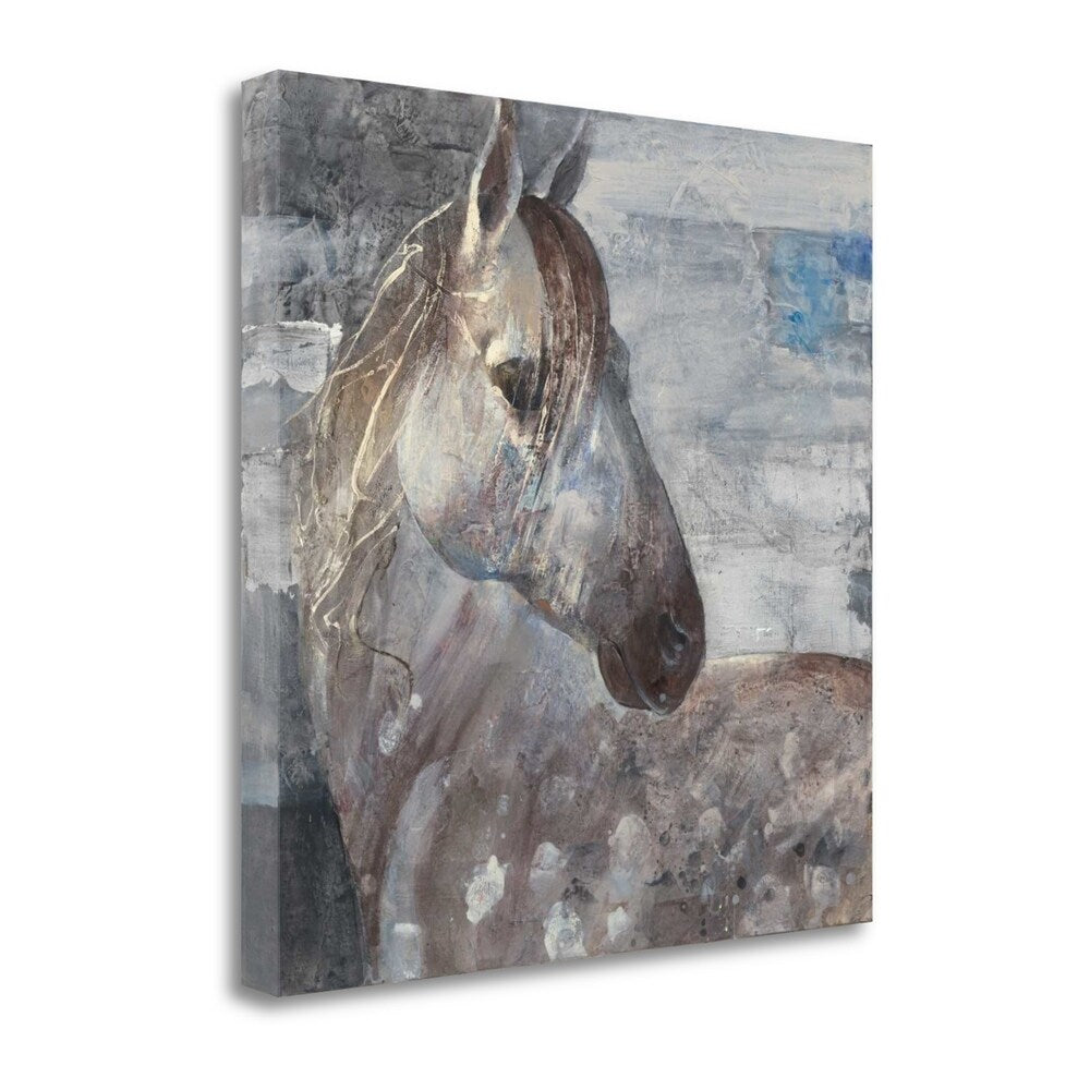 Appaloosa Horse Fine Art Giclee Print by Albena Hristova - Gallery Wrapped Canvas Wall Art Ready to Hang - Perfect for Living Room, Bedroom or Office Decor
