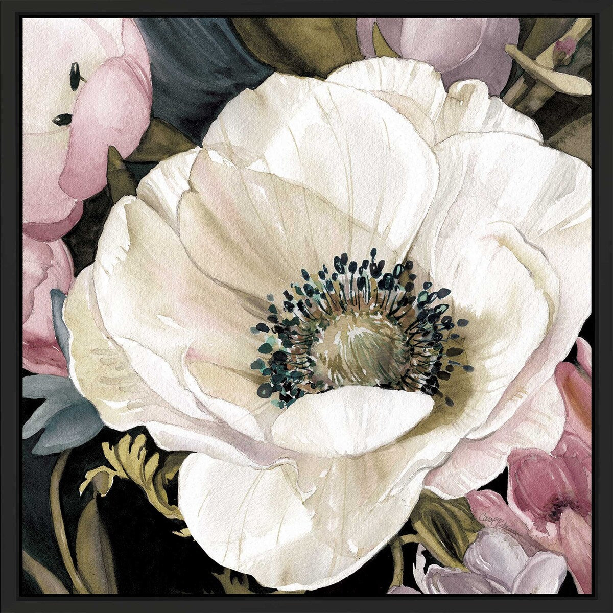 Anemone Study II by Carol Robinson - Premium Floating Canvas Wall Art Print - Perfect for Living Room, Bedroom & Office Decor
