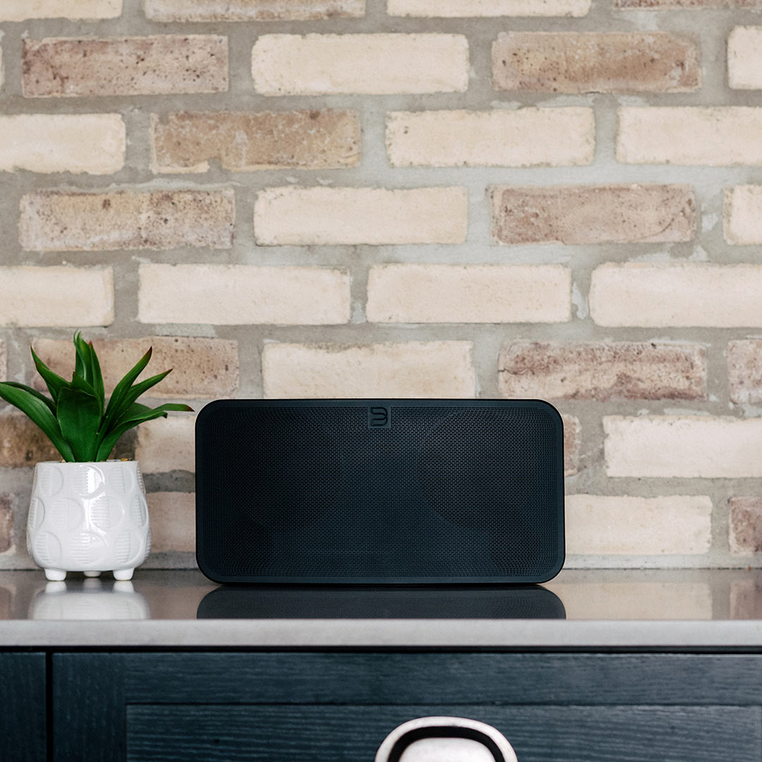 Bluesound PULSE MINI 2i Wireless Hi-Fi Speaker - Premium Portable Bluetooth Speaker for Home, Office & Outdoor Use | Crystal Clear Sound, Multi-Room Audio, Alexa Compatible