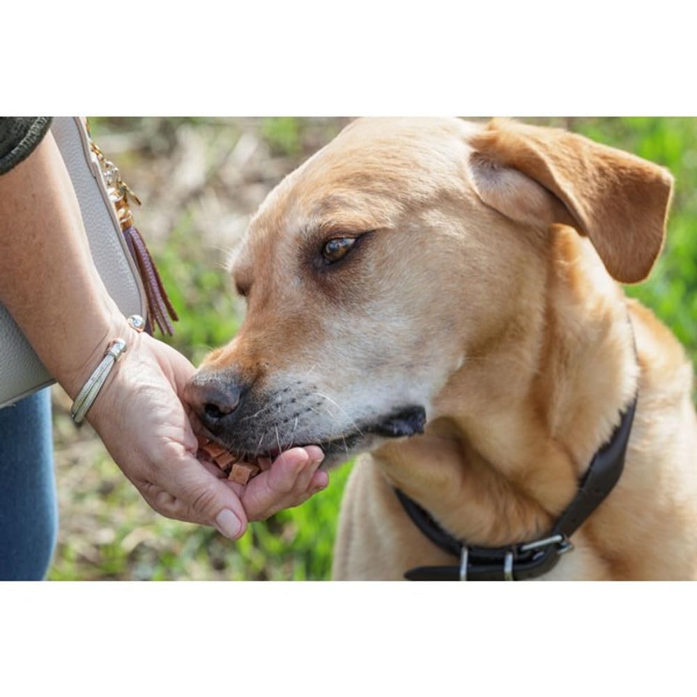 Natures Deli Grain Free Chicken Training Bites - Low Fat Dog Treats for Small & Large Breeds (100g) | Perfect for Obedience Training & Positive Reinforcement
